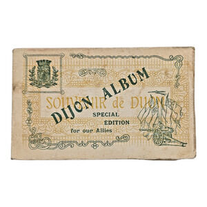 Antique Postcard Book Of 20 Dijon France Special Edition For Our Allies Album
